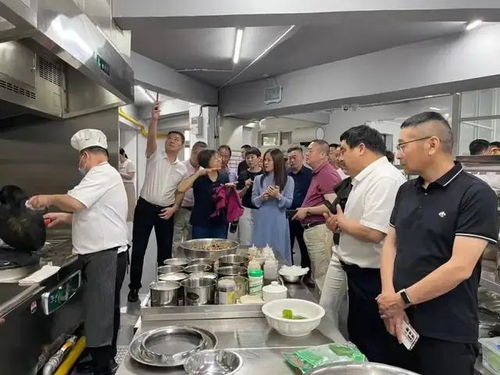 駐馬店餐協走訪四市圓滿收官，食品銷售經驗交流助力產業升級